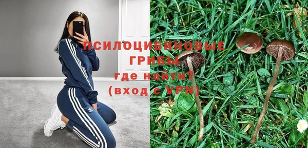 эйфоретик Корсаков