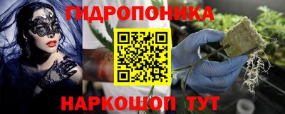 амф Ливны
