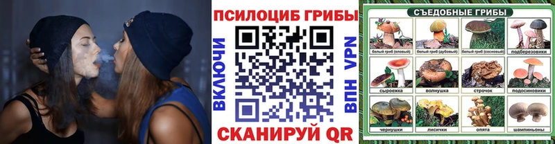 Галлюциногенные грибы мухоморы  Красный Сулин 