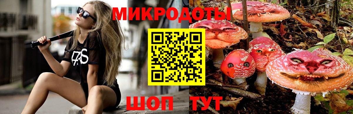 Псилоцибиновые грибы Psilocybe Красный Сулин