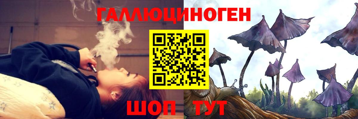 Галлюциногенные грибы MAGIC MUSHROOMS  Вход с VPN  купить   Красный Сулин 